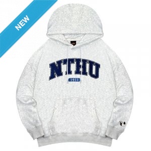 【限量現貨,售完預購】2025 NTHU立體毛巾繡落肩帽T_麻花白