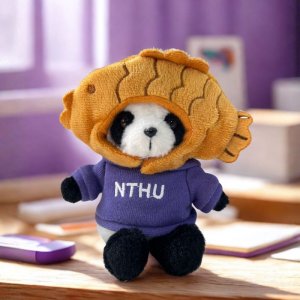 【限時販售】變裝組合:NTHU毛茸茸小熊貓掛飾鑰匙圈_鯛魚燒(含帽踢)