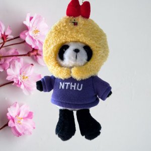 【限時販售】變裝組合:NTHU毛茸茸小熊貓掛飾鑰匙圈_炸蝦(含帽踢)