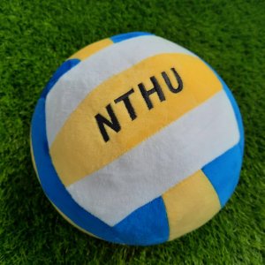 【5/20陸續出貨】清大人的玩具_NTHU1:1刺繡仿真排球抱枕